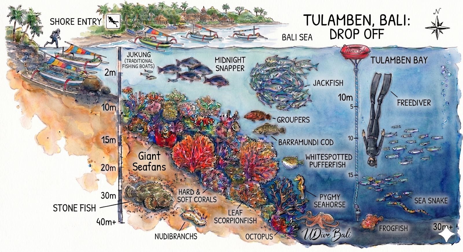 Drop-off (The Wall) dive site map